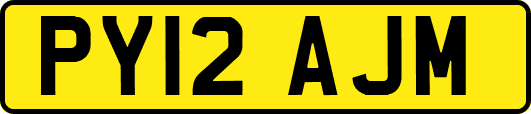 PY12AJM