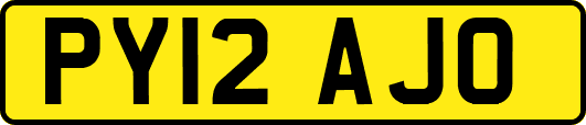 PY12AJO