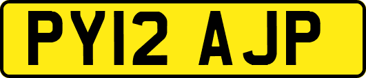 PY12AJP