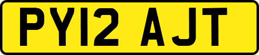 PY12AJT