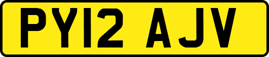PY12AJV