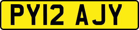 PY12AJY