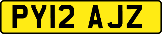 PY12AJZ