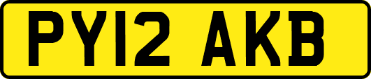 PY12AKB