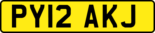 PY12AKJ