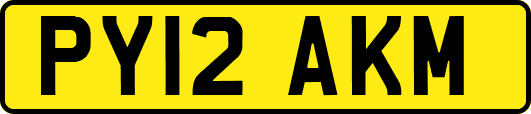 PY12AKM