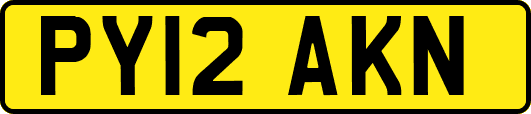 PY12AKN