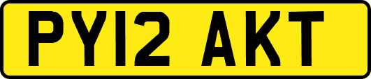 PY12AKT
