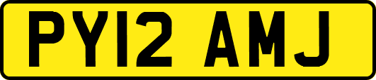 PY12AMJ