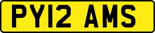 PY12AMS