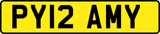 PY12AMY