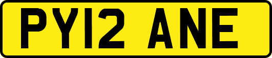 PY12ANE