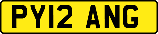 PY12ANG
