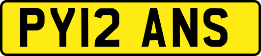 PY12ANS
