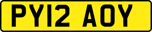 PY12AOY