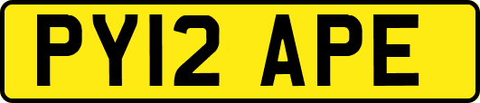 PY12APE