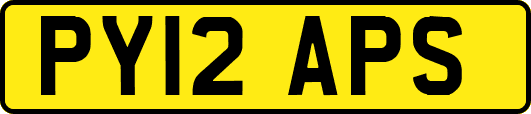 PY12APS
