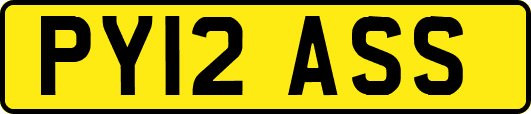 PY12ASS