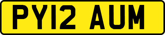 PY12AUM