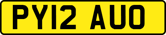 PY12AUO