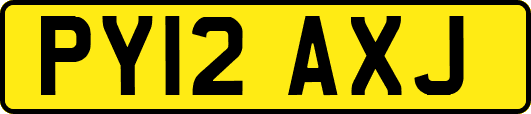 PY12AXJ