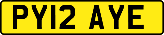 PY12AYE