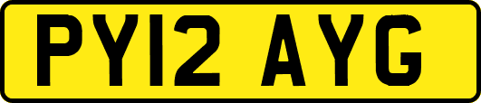 PY12AYG