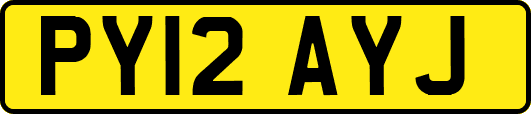 PY12AYJ