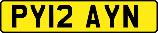 PY12AYN