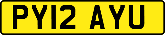 PY12AYU