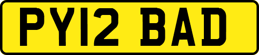 PY12BAD