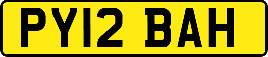 PY12BAH