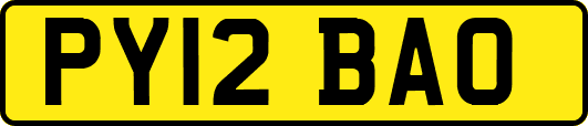 PY12BAO