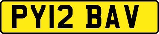 PY12BAV