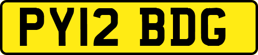 PY12BDG