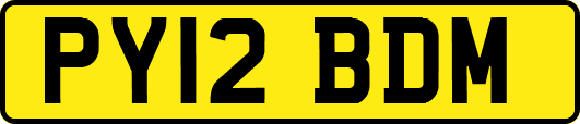 PY12BDM