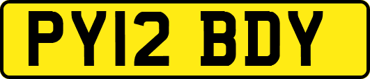 PY12BDY