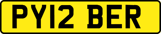 PY12BER