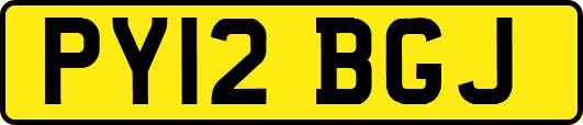 PY12BGJ