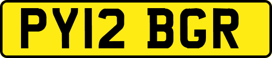 PY12BGR