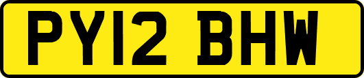 PY12BHW