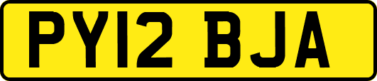 PY12BJA