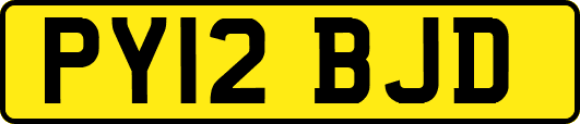 PY12BJD