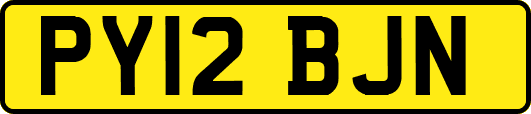PY12BJN
