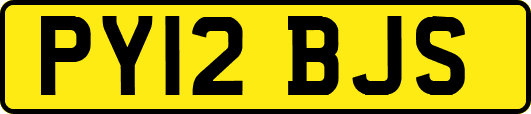 PY12BJS