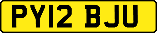PY12BJU