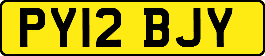 PY12BJY