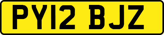 PY12BJZ