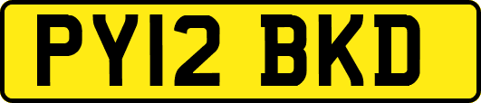 PY12BKD