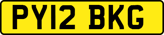 PY12BKG